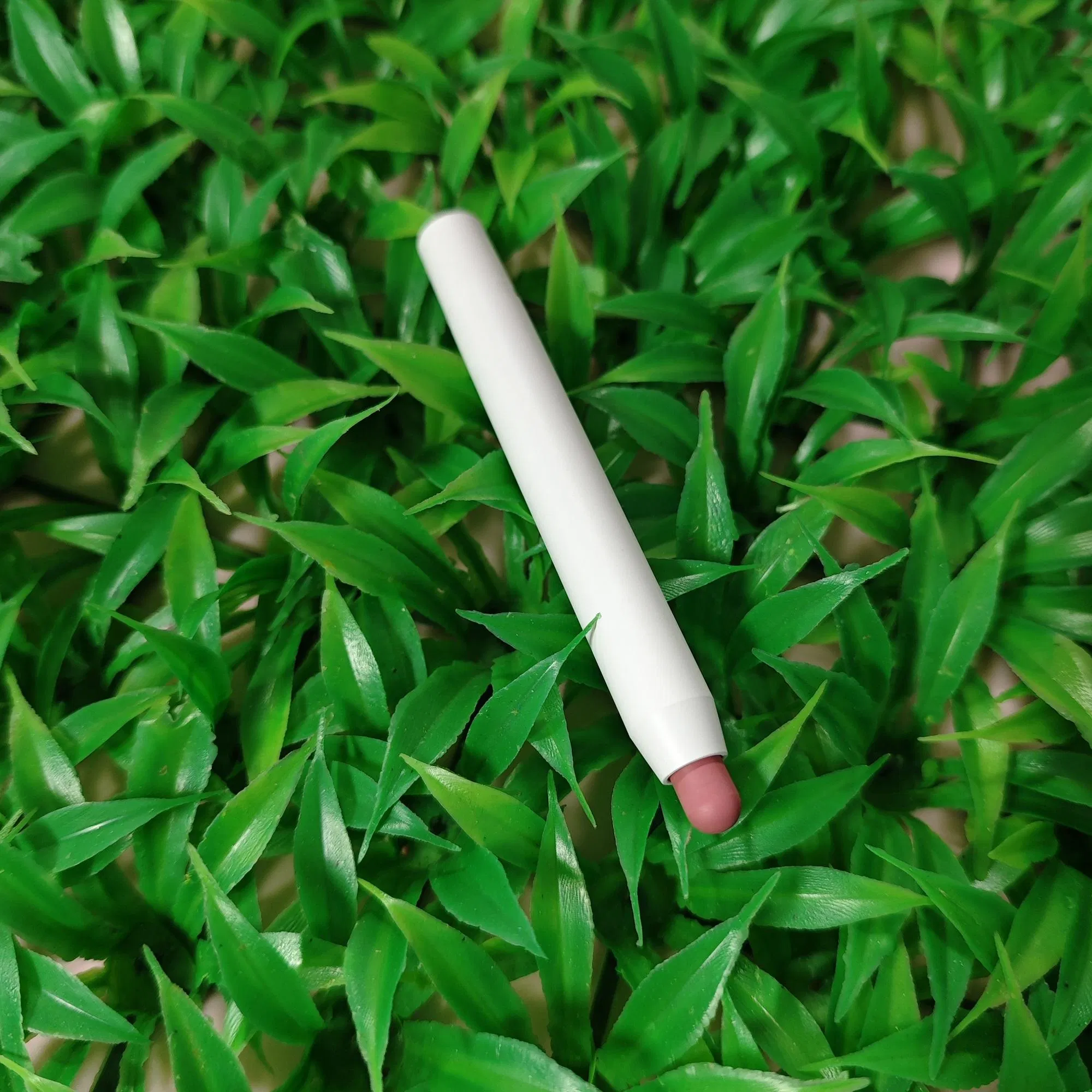 Blur Effect Lip Liner White Tube Portable Vegan Buildable Brown Pigment Formula Private Label