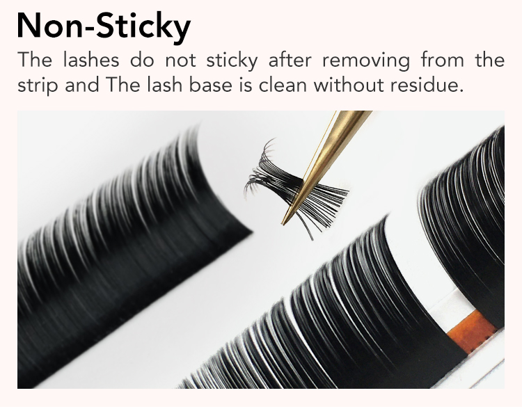 Eyelash Application