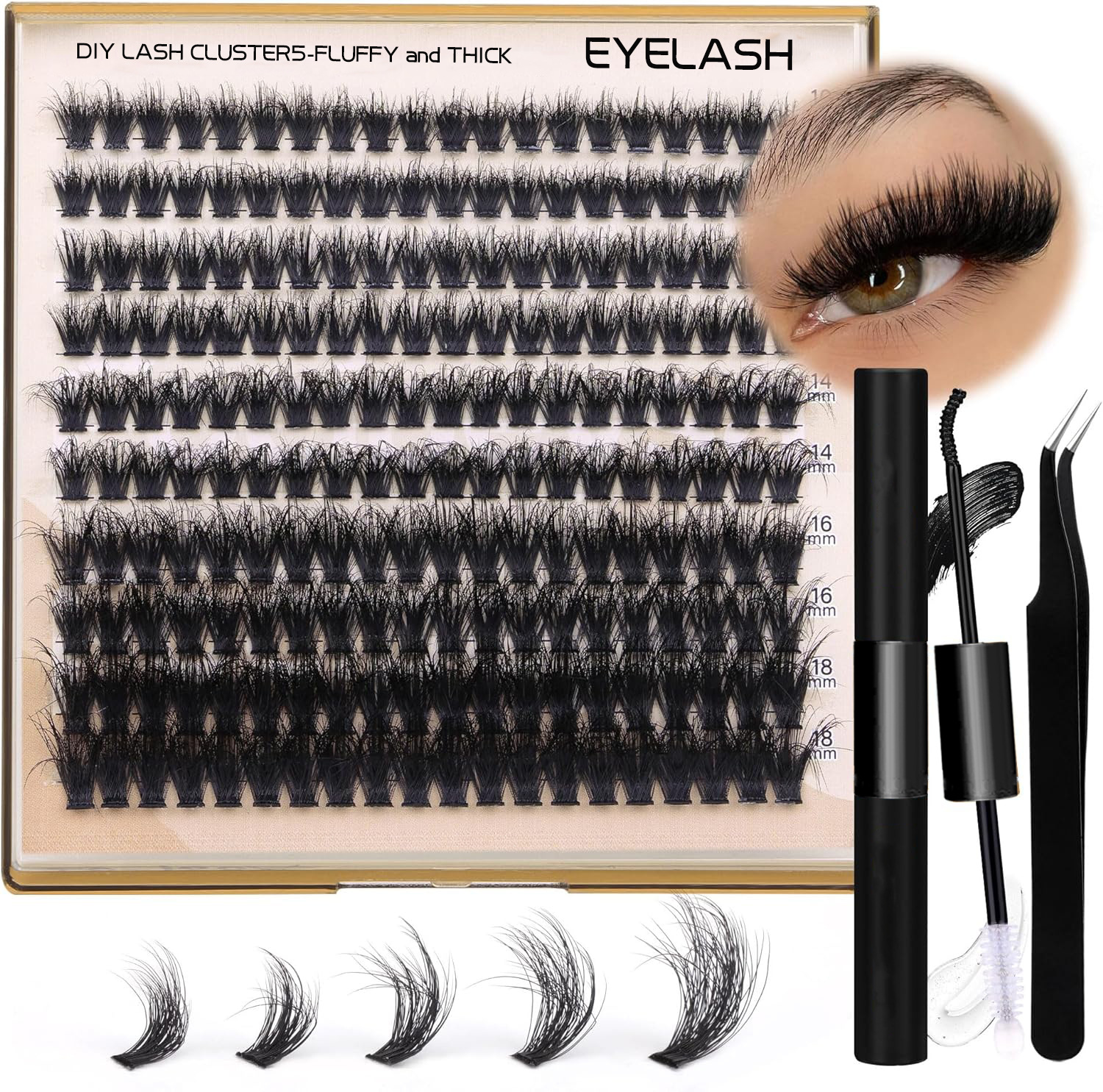 Lash Display 4
