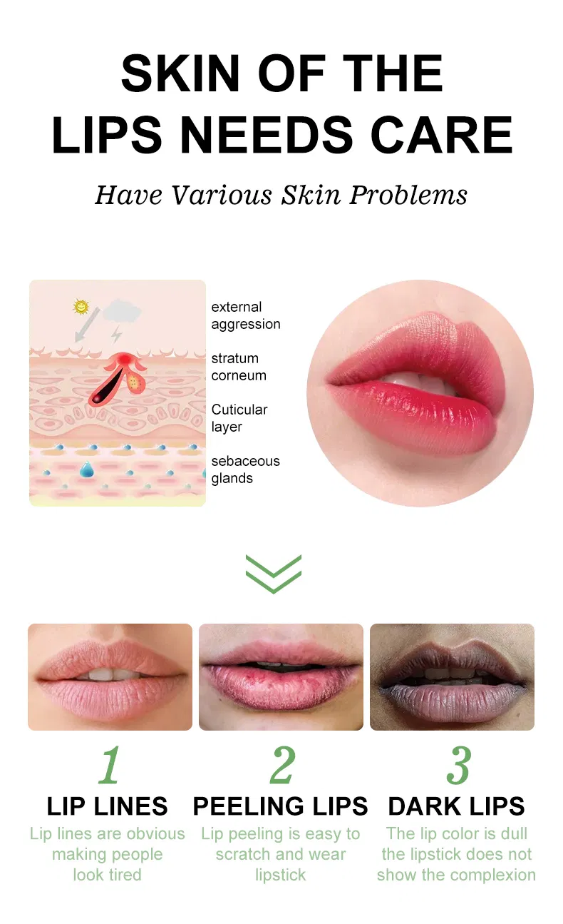 Aloe Vera Lip Balm 2