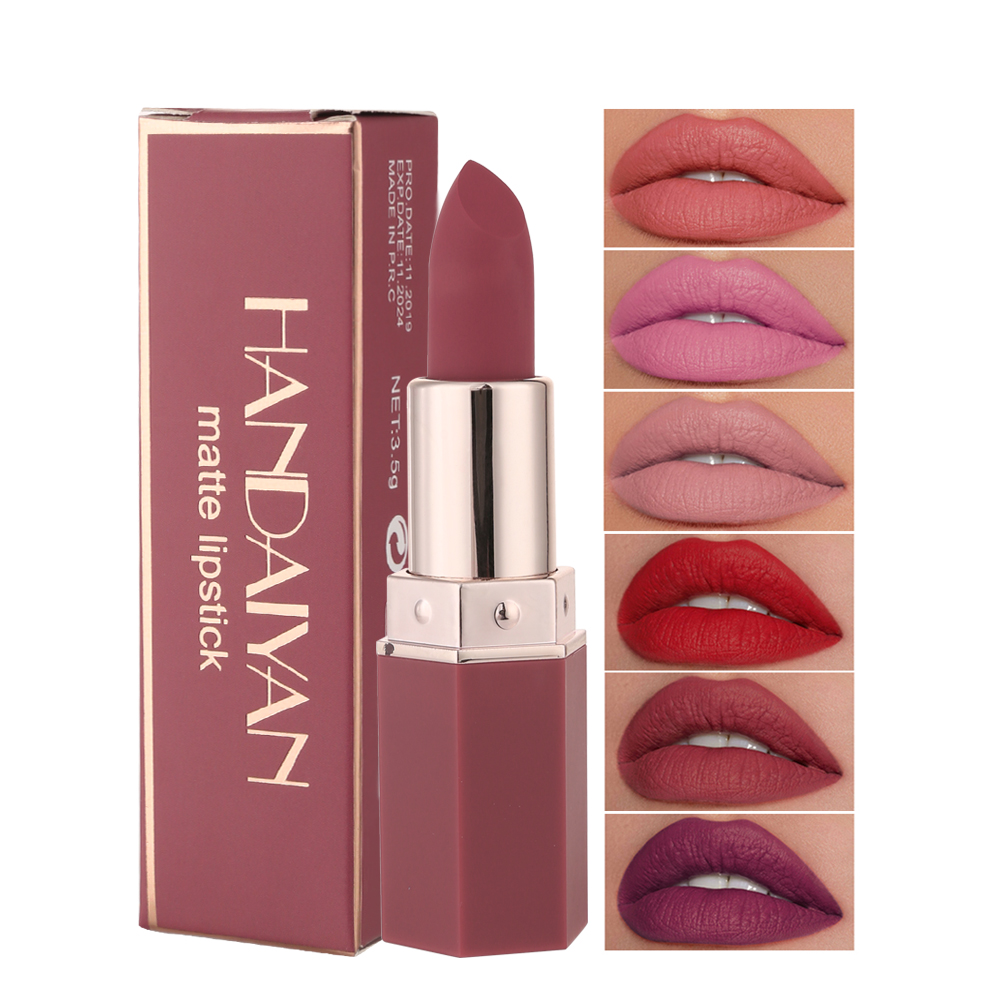 HANDAIYAN 6 Cpigmentelvet Matte Lipstick Waterproof Lip Gloss Stick Herbal Cosmetic Makeup Nude Lipstick Red Custom Lipstick