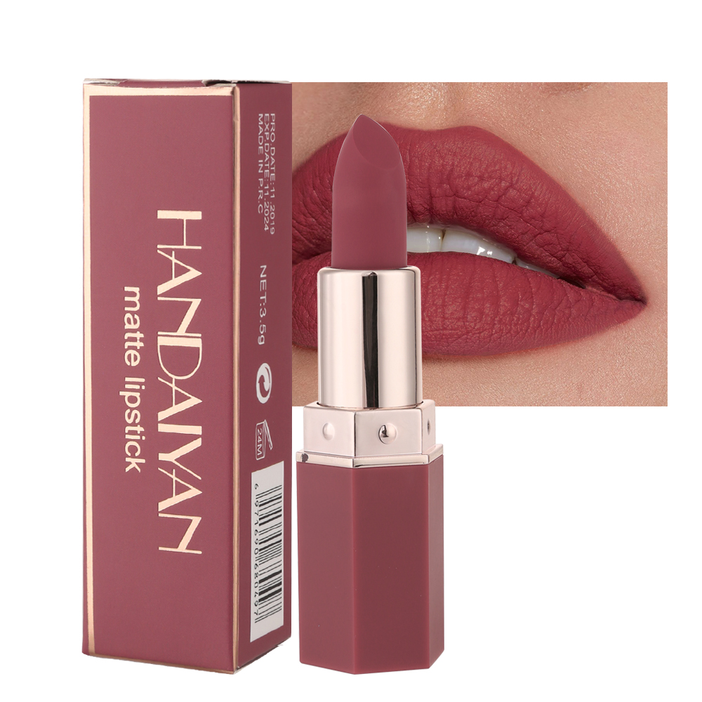 HANDAIYAN 6 Cpigmentelvet Matte Lipstick Waterproof Lip Gloss Stick Herbal Cosmetic Makeup Nude Lipstick Red Custom Lipstick