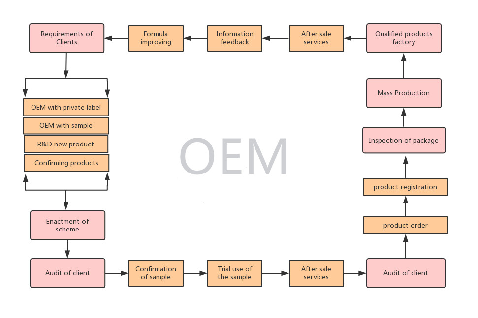 OEM Process Map