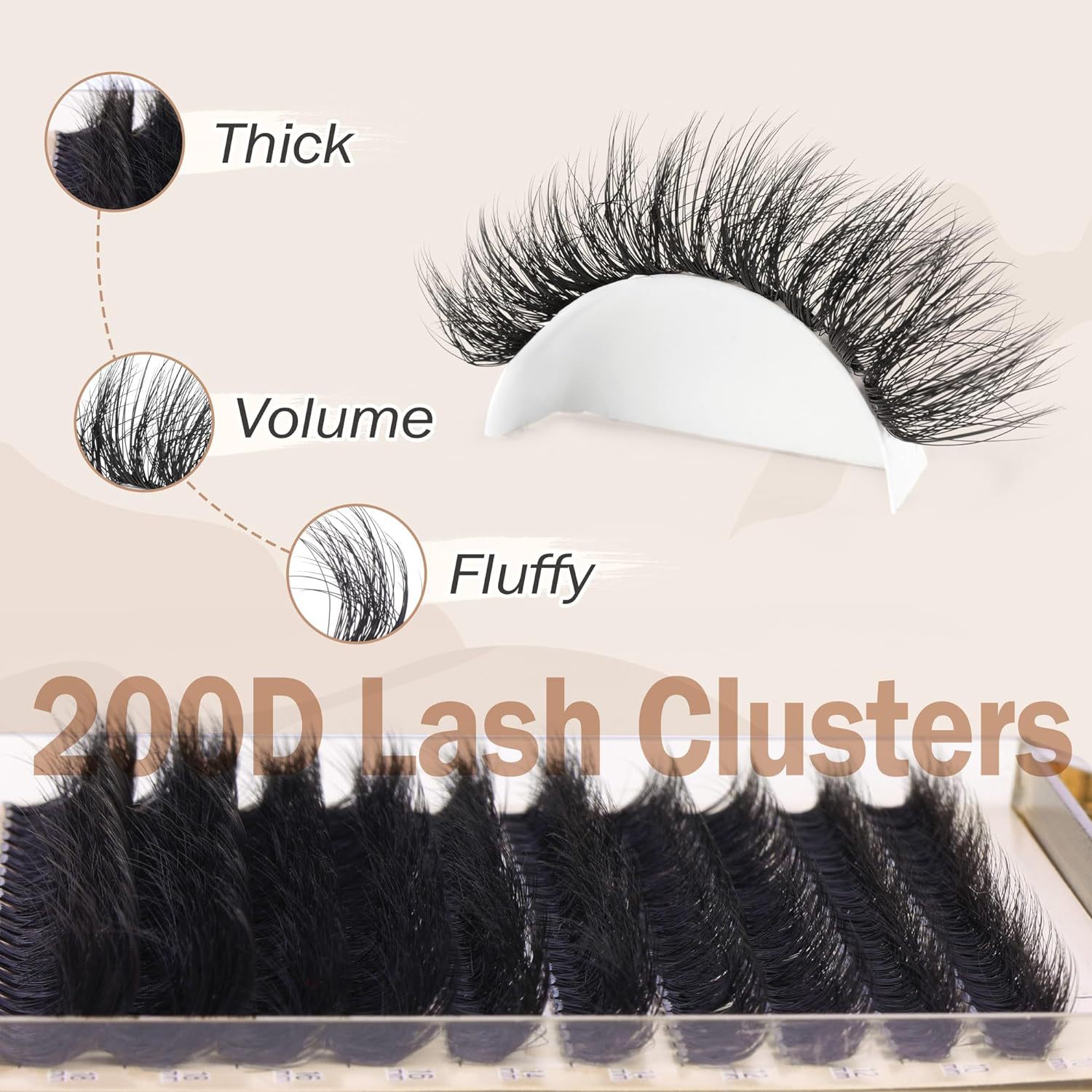 Lash Display 7