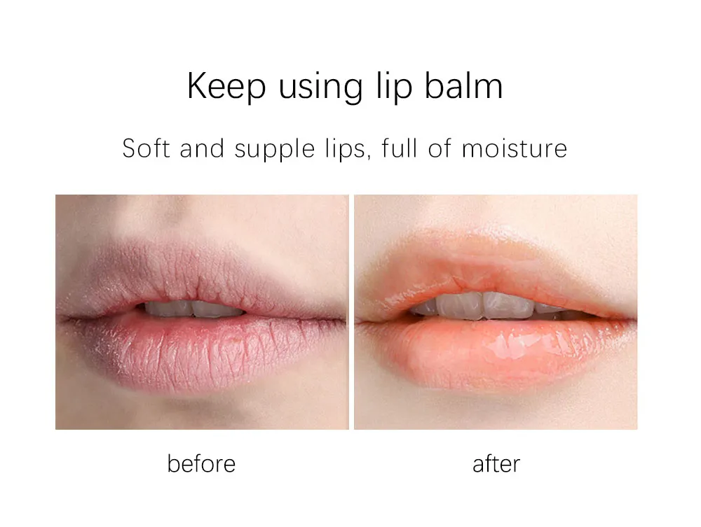 Lip Balm Ingredients Display