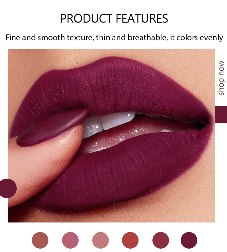 Handaiyan Lipstick 6 Colours Matte Makeup Lipstick Waterproof Pigment Long Lasting Lipstick