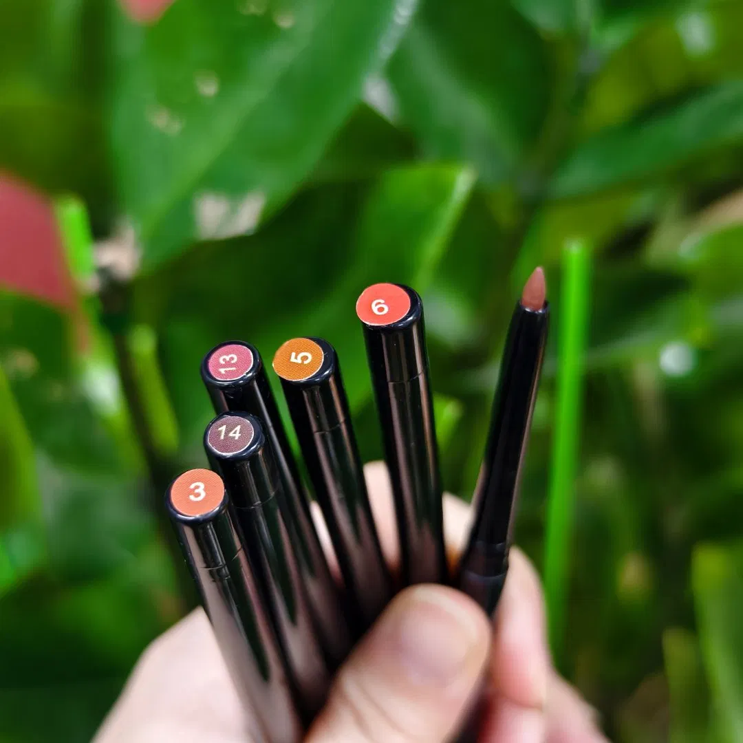 Private Label Cosmetics Vegan Lipliner Highpigment Makeup Cruelty Free Waterproof Long Lasting Retractable Creamy Lip Liner