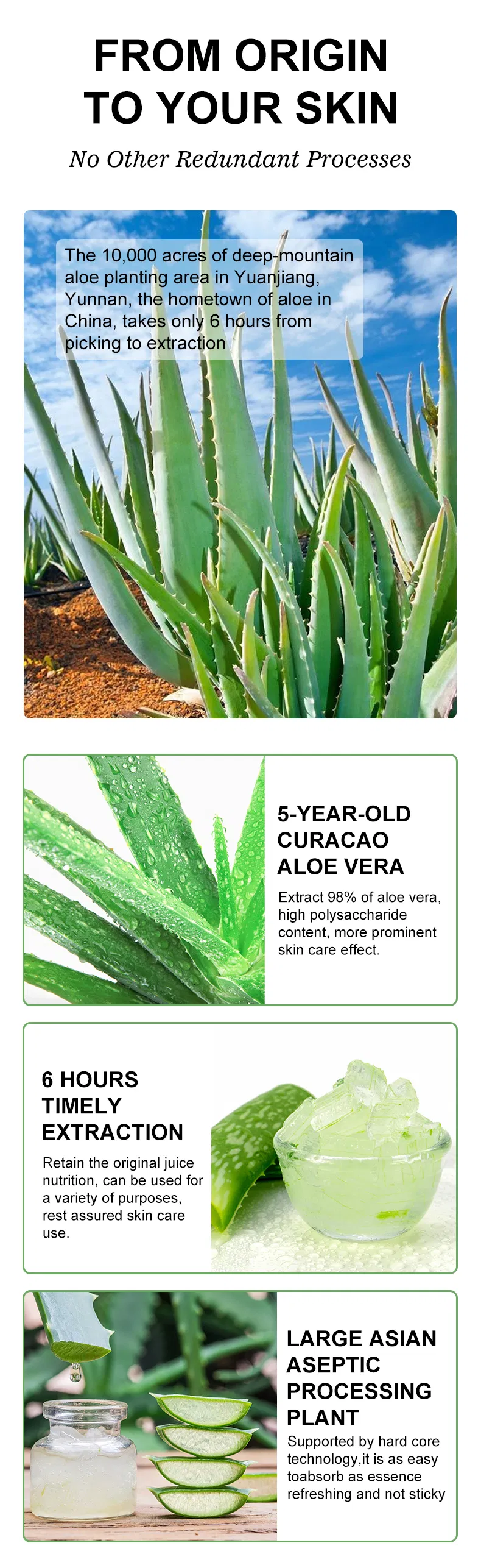 Aloe Vera Lip Balm 5