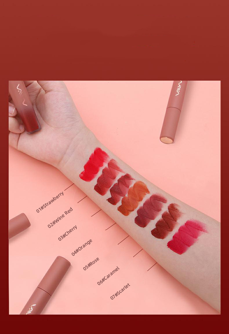 Velvet Silk Mousse Gloss Herbal Mineral Long-Lasting Vegan Lip Gloss High Pigment Non-Fading Matte Liquid Natural Makeup