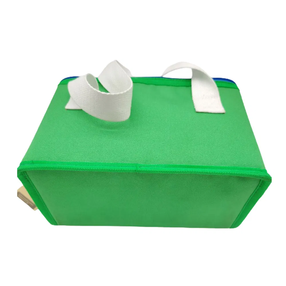 Cooler Bag 2