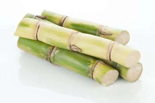 Máquina Automática de Suco de Cana de Açúcar Extrator de Suco de Cana Elétrico