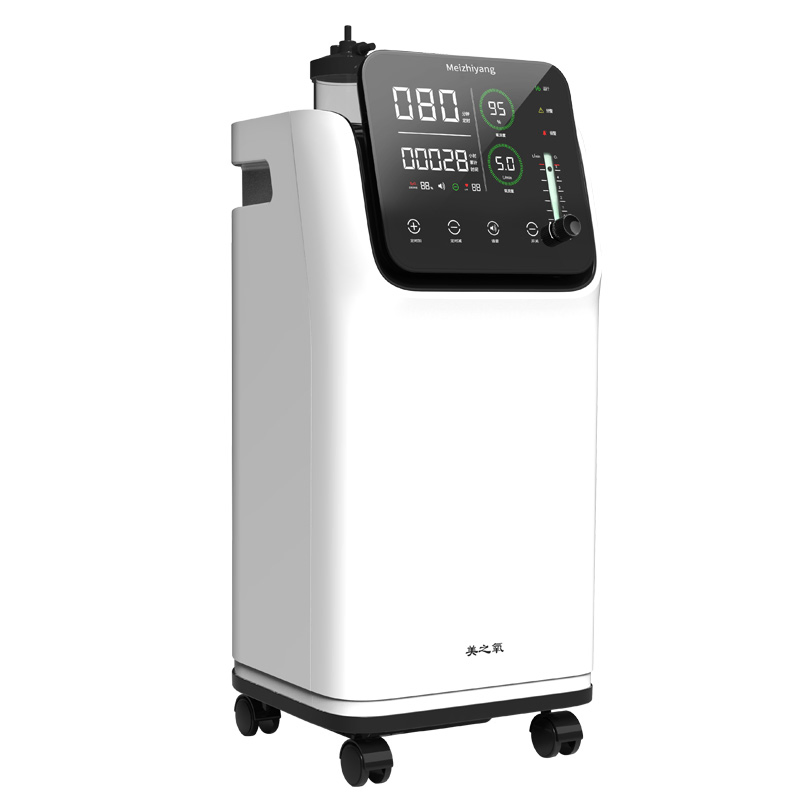 Aprovado pela CE 10L Concentrador de Oxigênio Portátil com 10" Tela LED e Atomizador