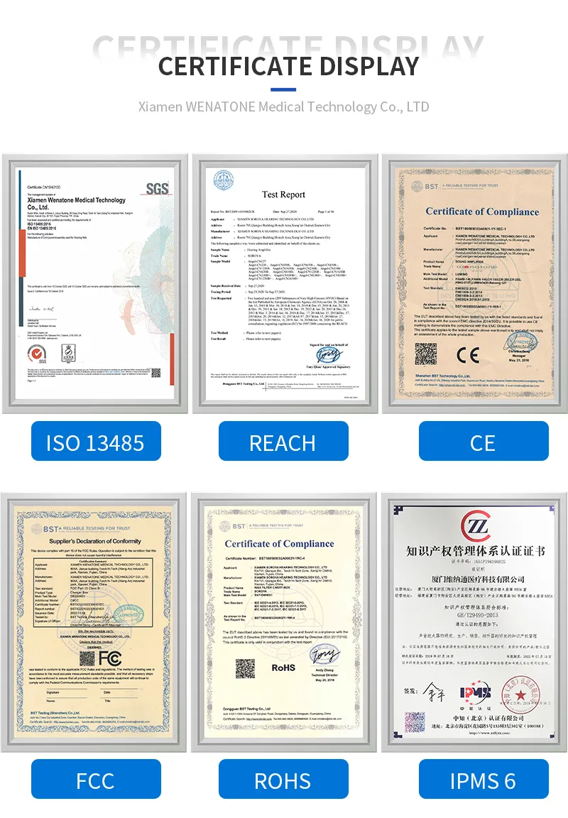 Amostra Grátis Produtos em Alta 2024 Novas Chegadas Aparelho Auditivo Digital Recarregável Cic Mini Auxiliares Auditivos