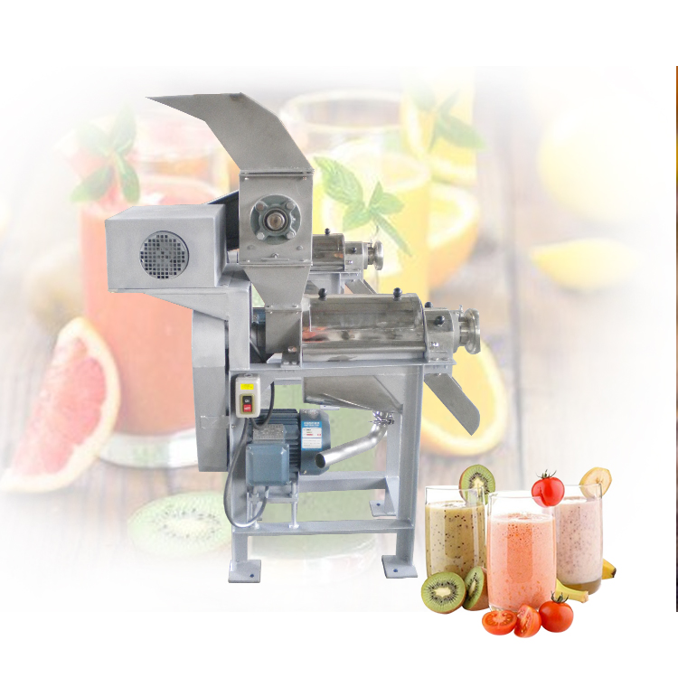 Extrator de Suco Elétrico de Alta Performance Dmzz-0.5 para Sucos Frescos e Saudáveis