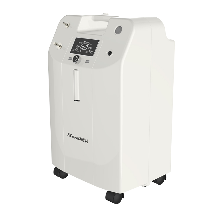Concentrador de Oxigênio Portátil Oxygenerator 5L com Função de Nebulizador à Venda