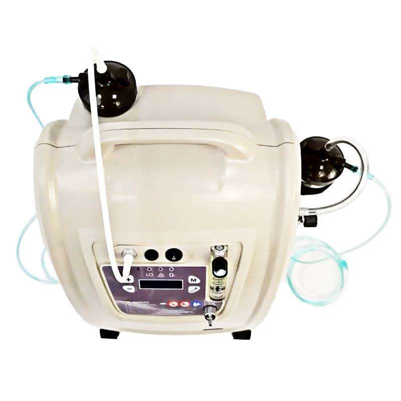 Aerti Medical 10L 8L 5L 3L Equipamento Hospitalar de Duplo Fluxo Máquina de Terapia Física Gerador de Oxigênio Concentrador de Oxigênio Portátil (Ae-10)