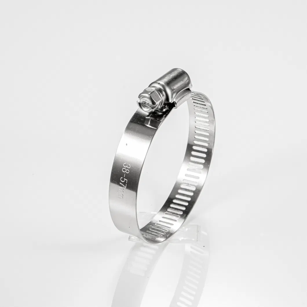 Worm Drive Hose Clamp Detail 5