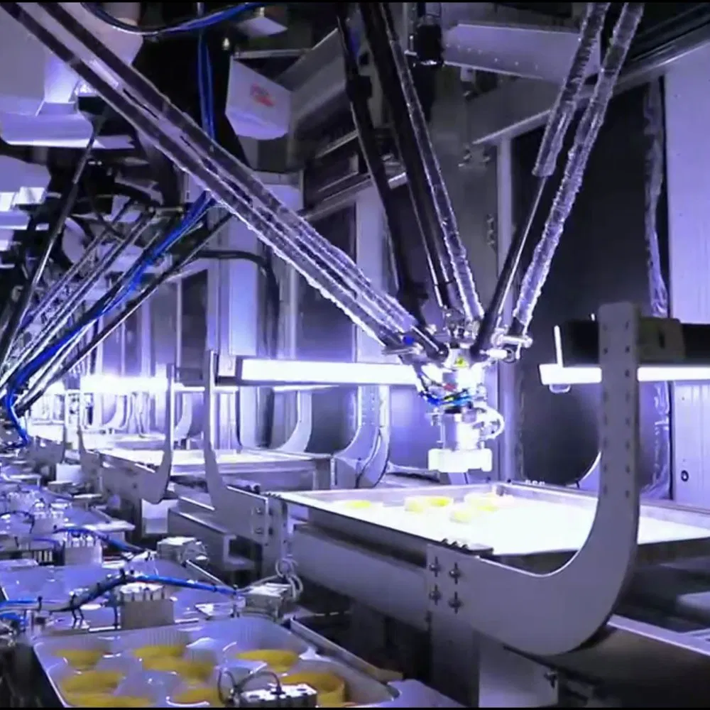 Delta Robotic Cartoning Solution for Multi-Lane Snack Pouch Production Lines