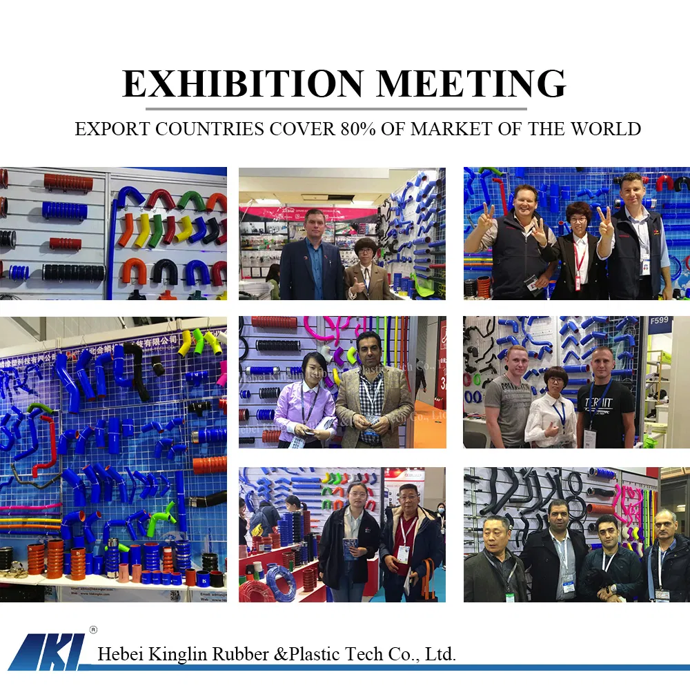 Suppliers High Performance Flexible Auto High Temperature Turbo Custom Reinforced Radiator Intercooler Soft Car Truck Coolant Silicone Hose Kit for BMW Audi Daf