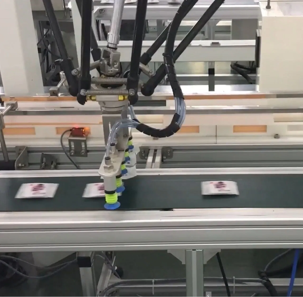 Delta Robot Collaborative Packing Line