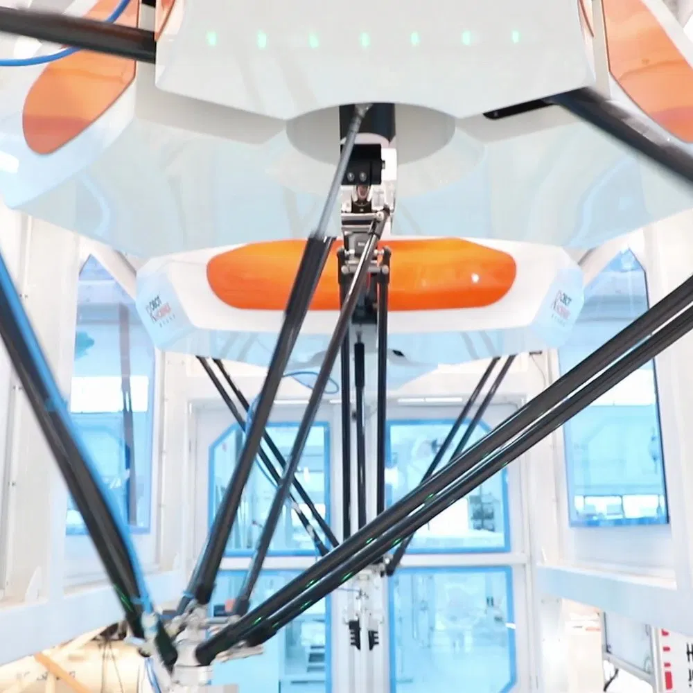 End-of-Line Delta Integrated Case Erector and Packer for Frozen Foods