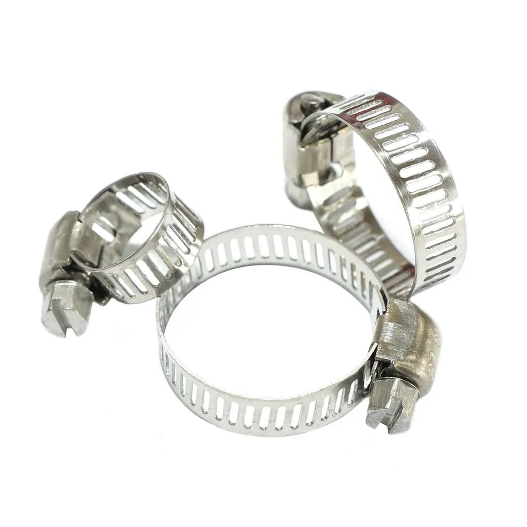 Adjustable Hose Clamp Detail 1