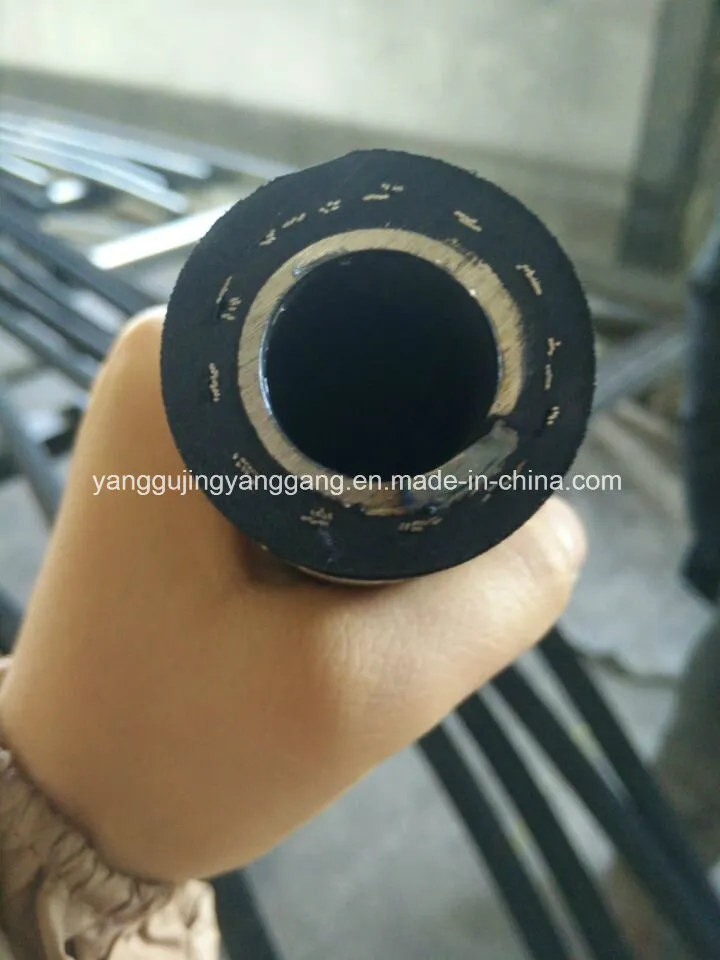 Flexible Hose/Steel Wire Braided Rubber Hose