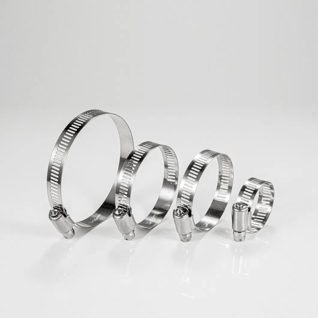 Worm Drive Hose Clamp Detail 2