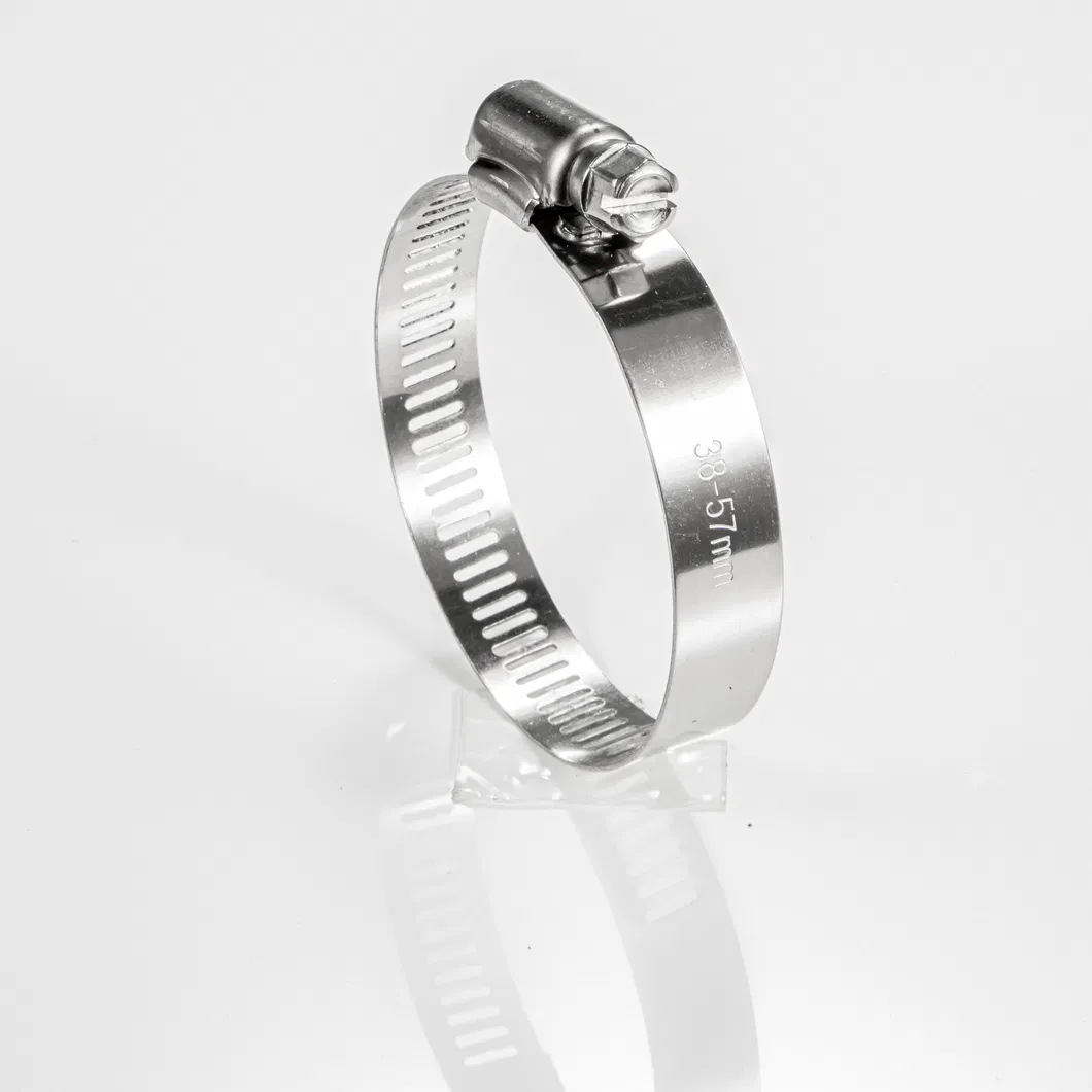 Worm Drive Hose Clamp Detail 6