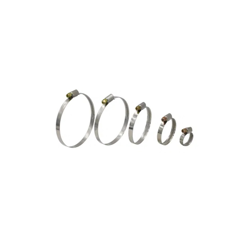 Hose Connector 304 316 Stainless Steel Hose Clamp for Pipe Automotive