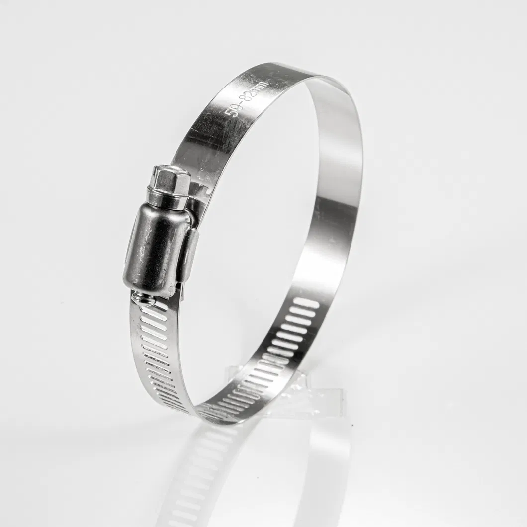 Worm Drive Hose Clamp Detail 4