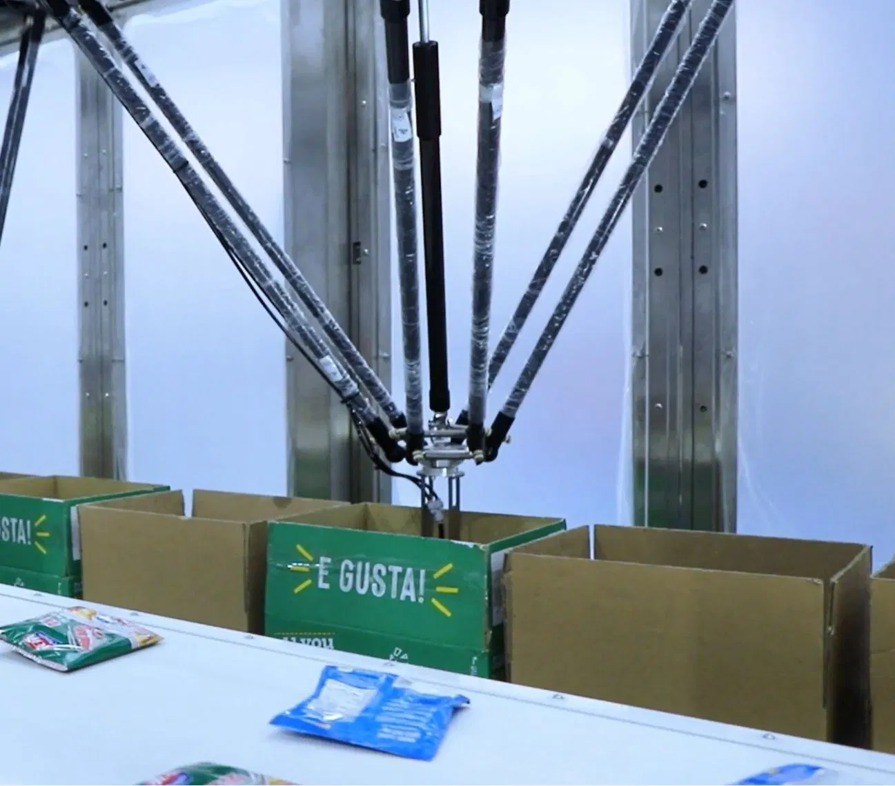 Automated Robotic Packing Line for Frozen Dumpling Trays