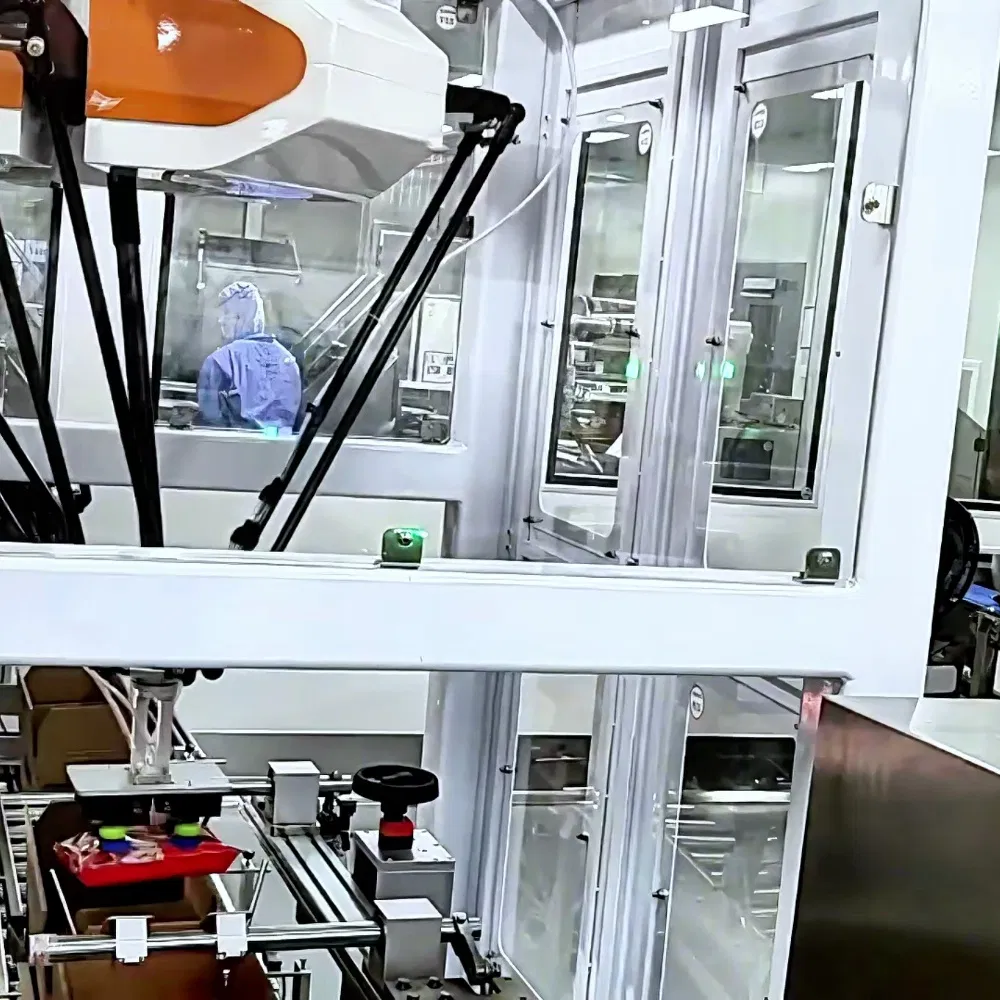 Sanitary Delta Integrated Cartoning Line for Ready Meal Foil Pouch Sealing