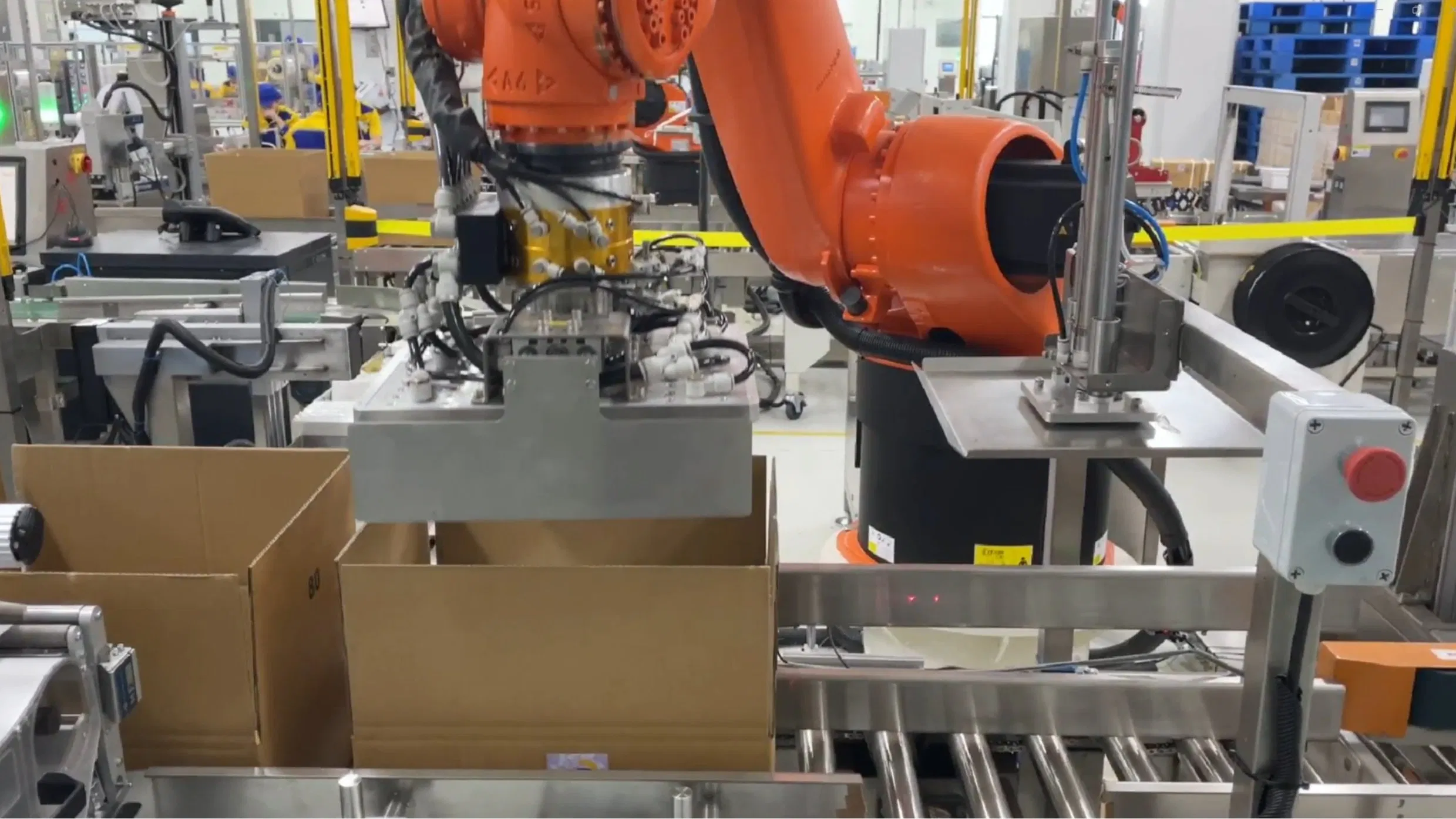Flexible Robotic Packing Line with Modular Conveyor Integration