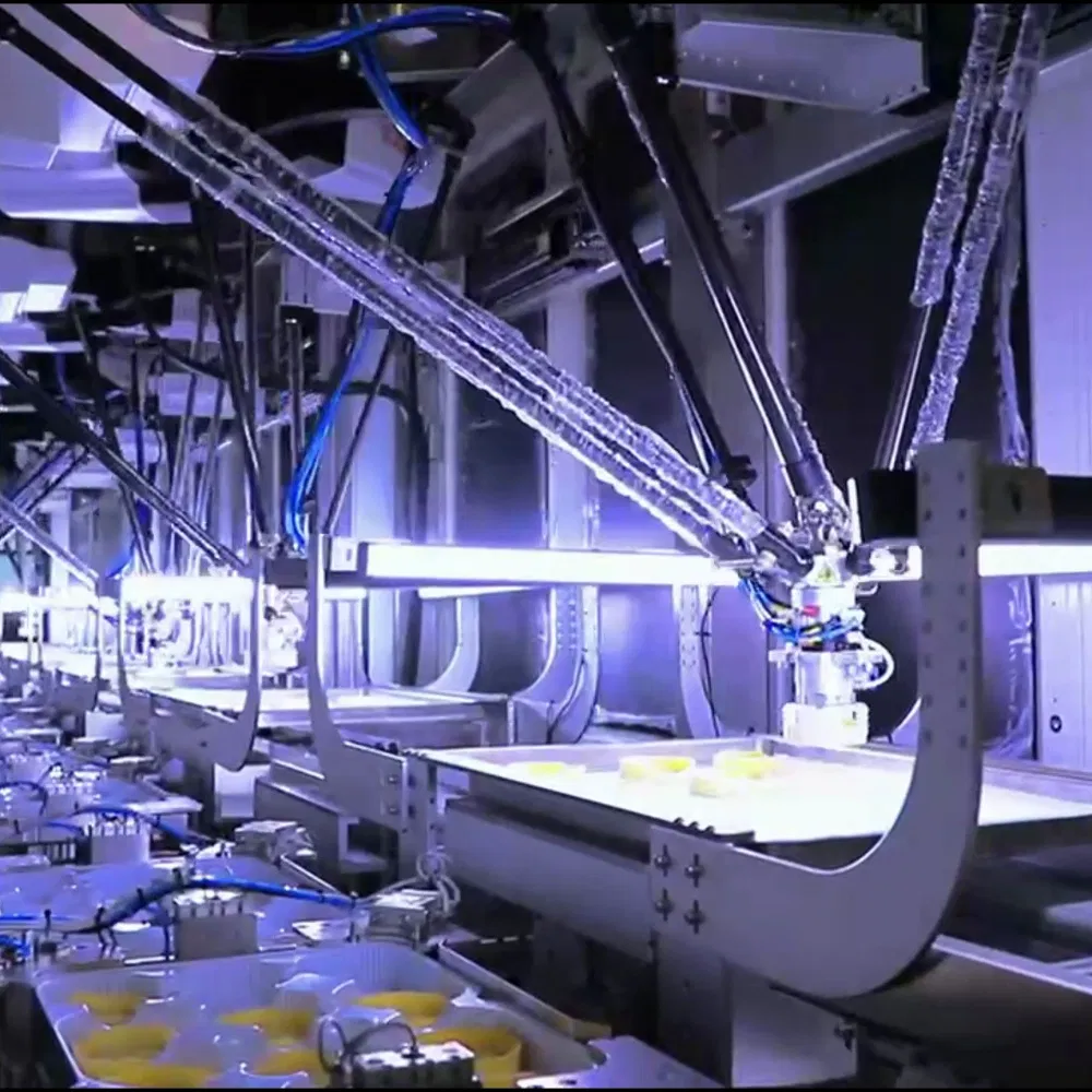 Delta Robotic Cartoning Solution for Multi-Lane Snack Pouch Production Lines