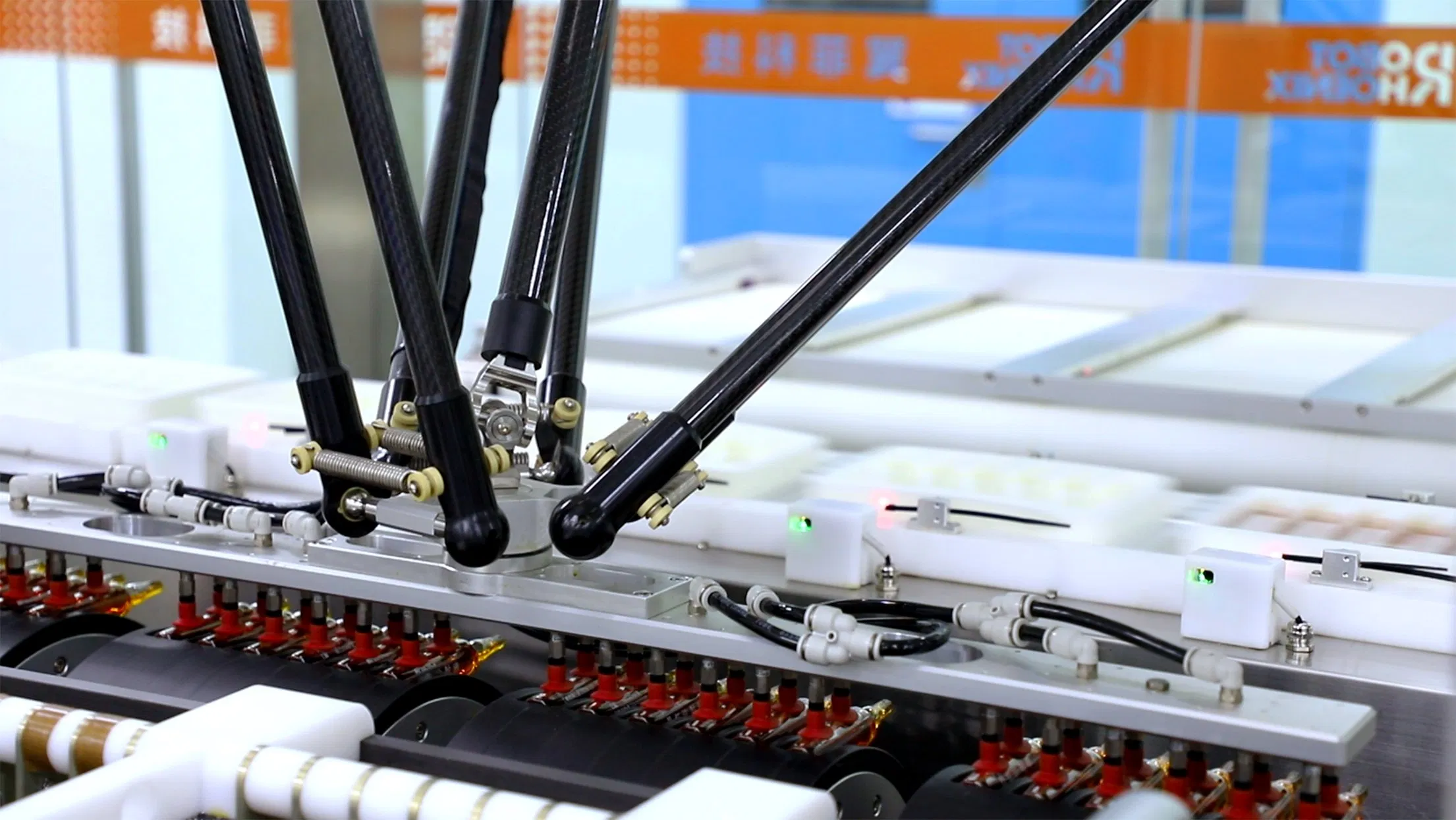 Flexible Robotic Packing Line with Modular Conveyor Integration