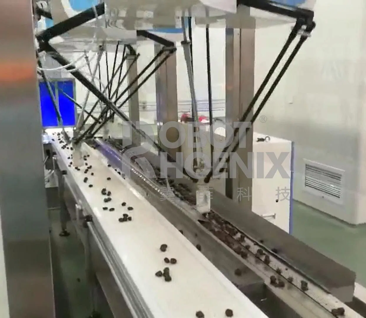 Delta Robot Collaborative Packing Line