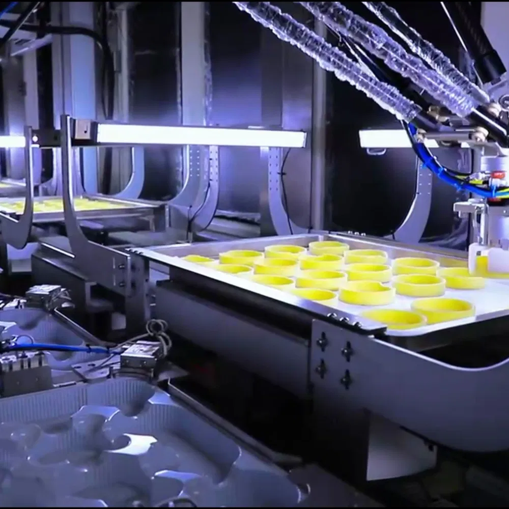 Delta Robotic Cartoning Solution for Multi-Lane Snack Pouch Production Lines