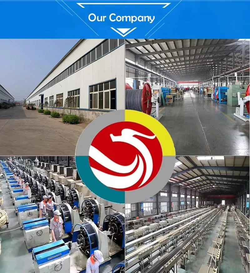 Factory Production Line