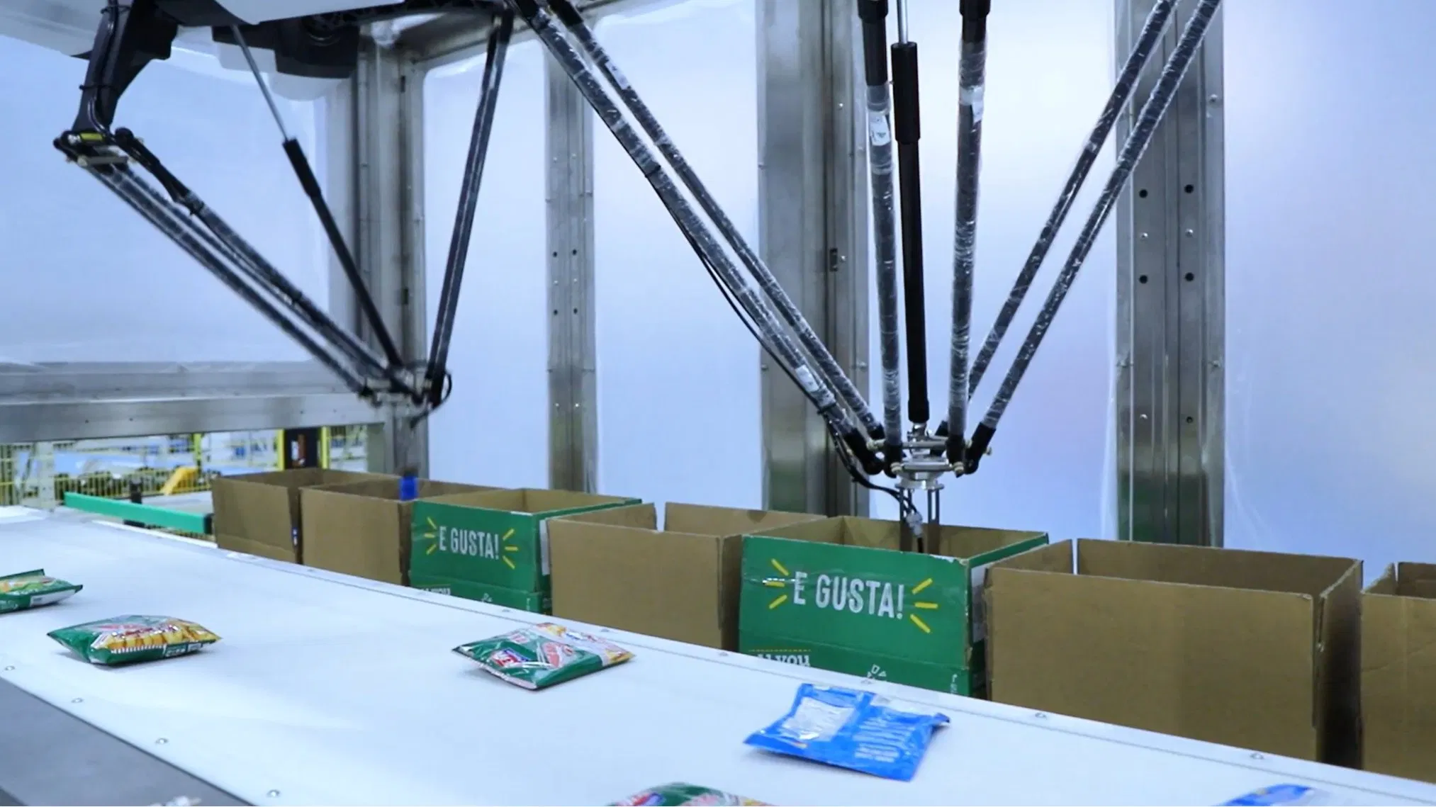 Flexible Robotic Packing Line with Modular Conveyor Integration