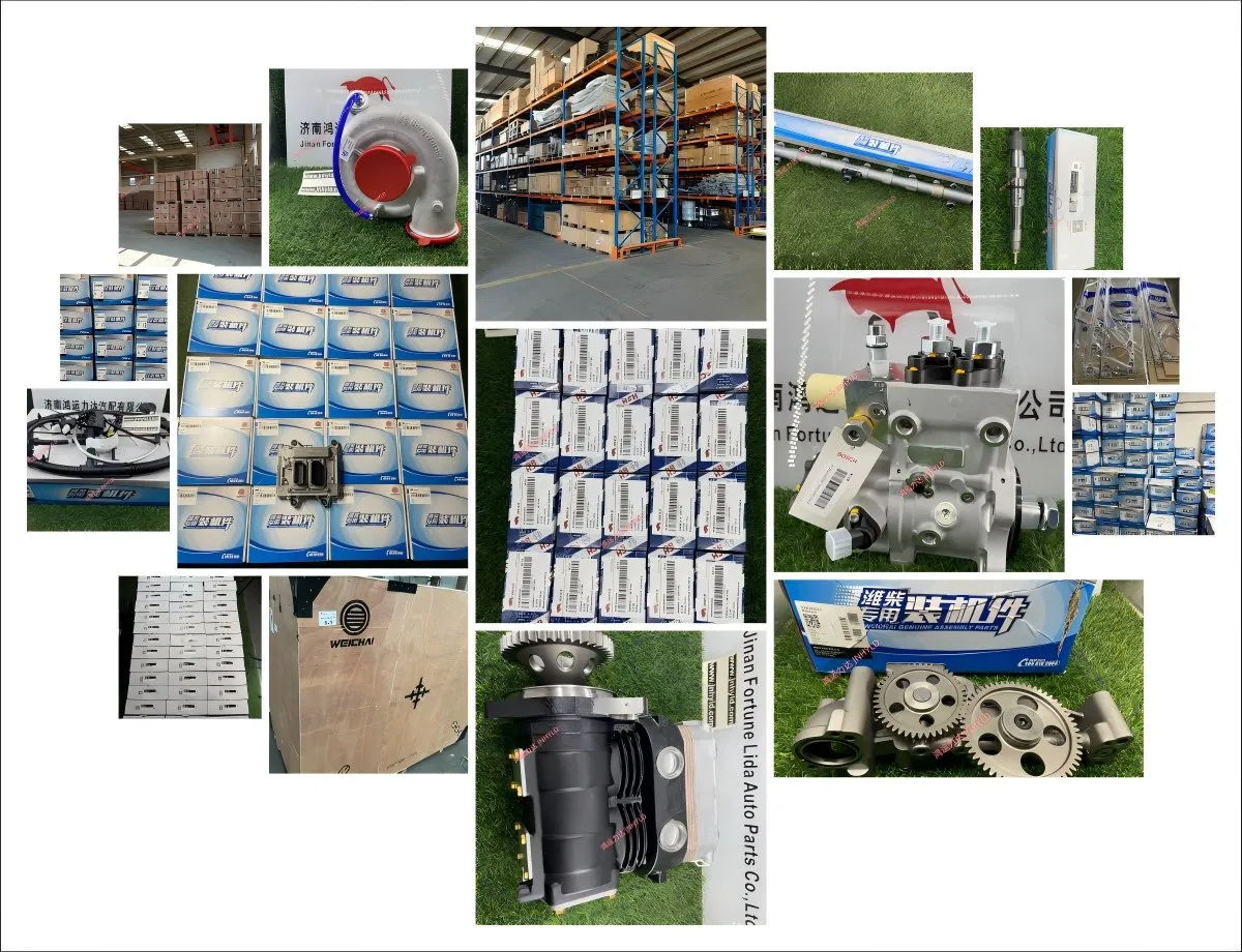 Tonly Lgmg Weichai Wp12 Wp13 Wp14 Turbocharger Oil Pipe 1000319666 4110000405449 612600113793 1010100835 Vg1095119004 Vg2600070071 Vg1560079003