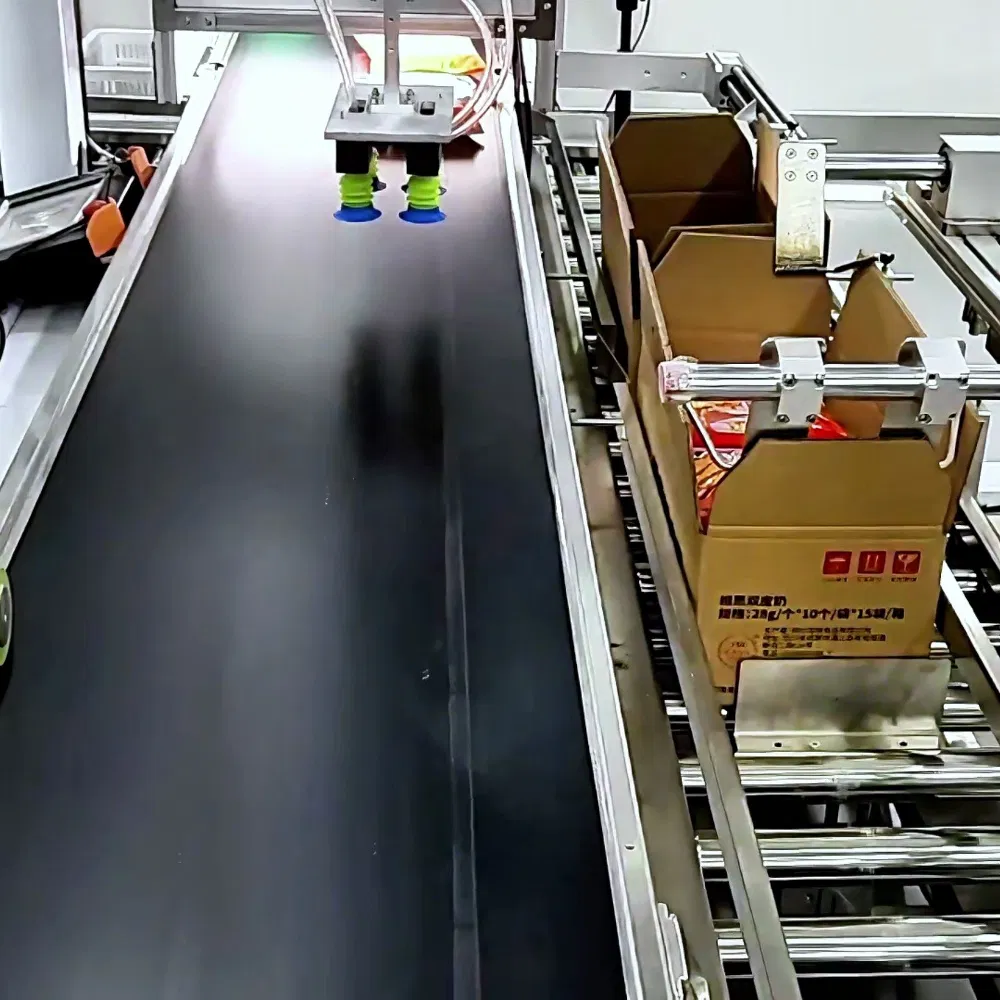 Sanitary Delta Integrated Cartoning Line for Ready Meal Foil Pouch Sealing