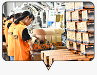 Mass Production Stage