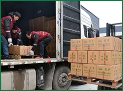 Shipping into container