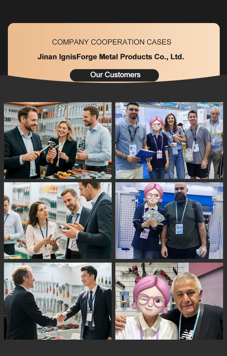International Partners Visit