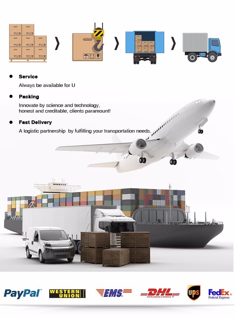 Transport and Logistics