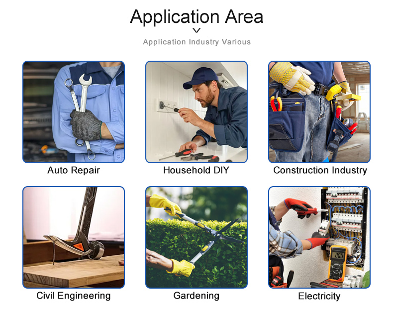 Application 1
