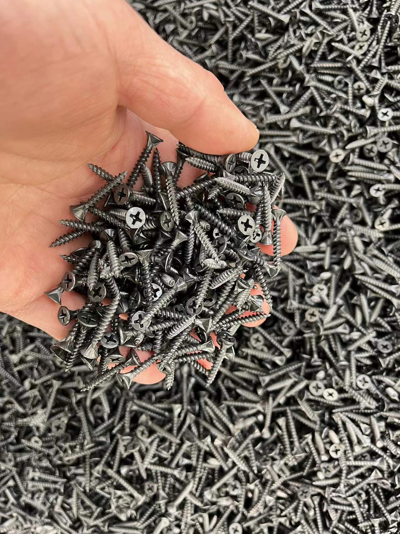 Drywall Screw Sharp Point