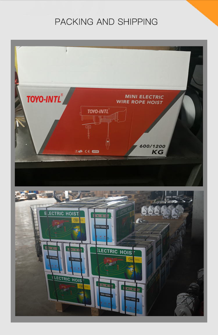The Good Selling PA Type Mini Electric Hoist Winch with Wireless Remote