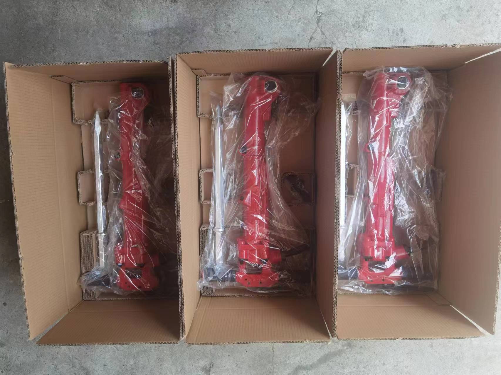 Product Packaging Details